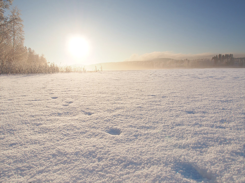 Tuomiojärvi (lake Tuomiojärvi)